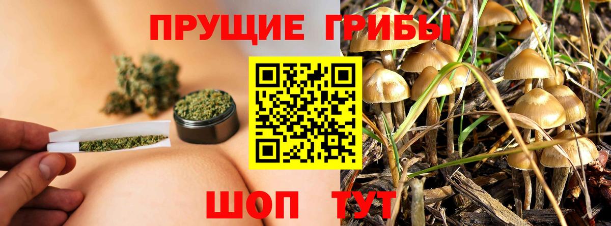 Псилоцибиновые грибы ЛСД  Вход с VPN  Советская Гавань 