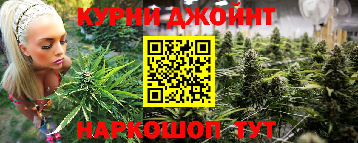 Бошки Шишки семена Советская Гавань
